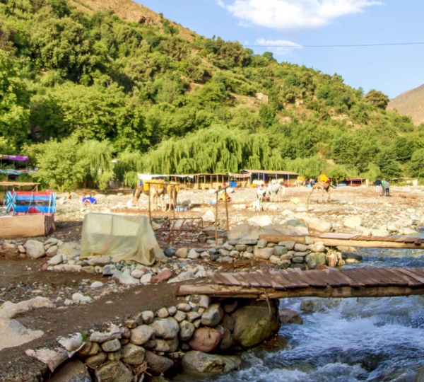 Une journée à la Vallée de L’ourika